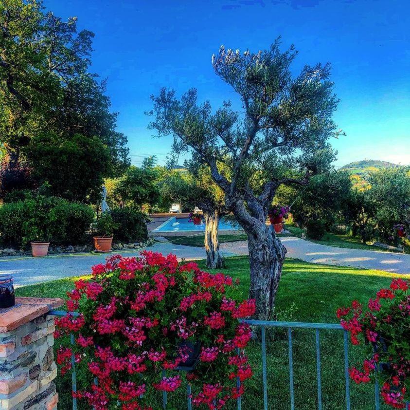 Casale Il Cerqueto Bed and Breakfast San Severino Marche Buitenkant foto