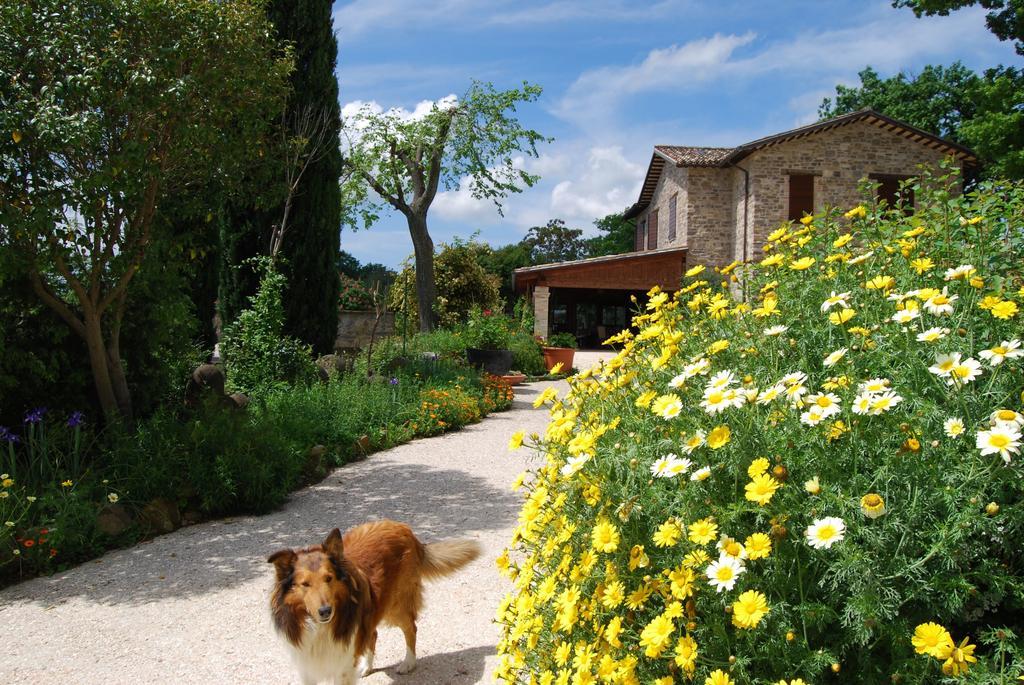 Casale Il Cerqueto Bed and Breakfast San Severino Marche Buitenkant foto