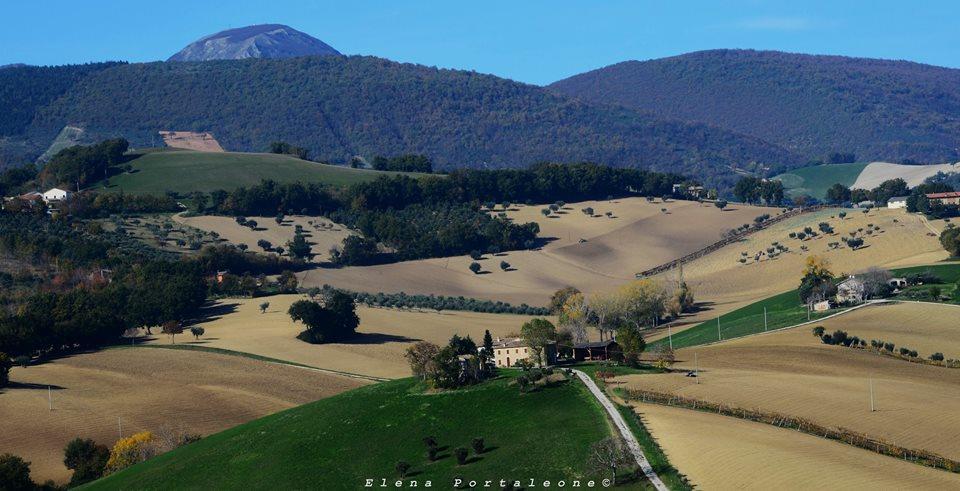 Casale Il Cerqueto Bed and Breakfast San Severino Marche Buitenkant foto