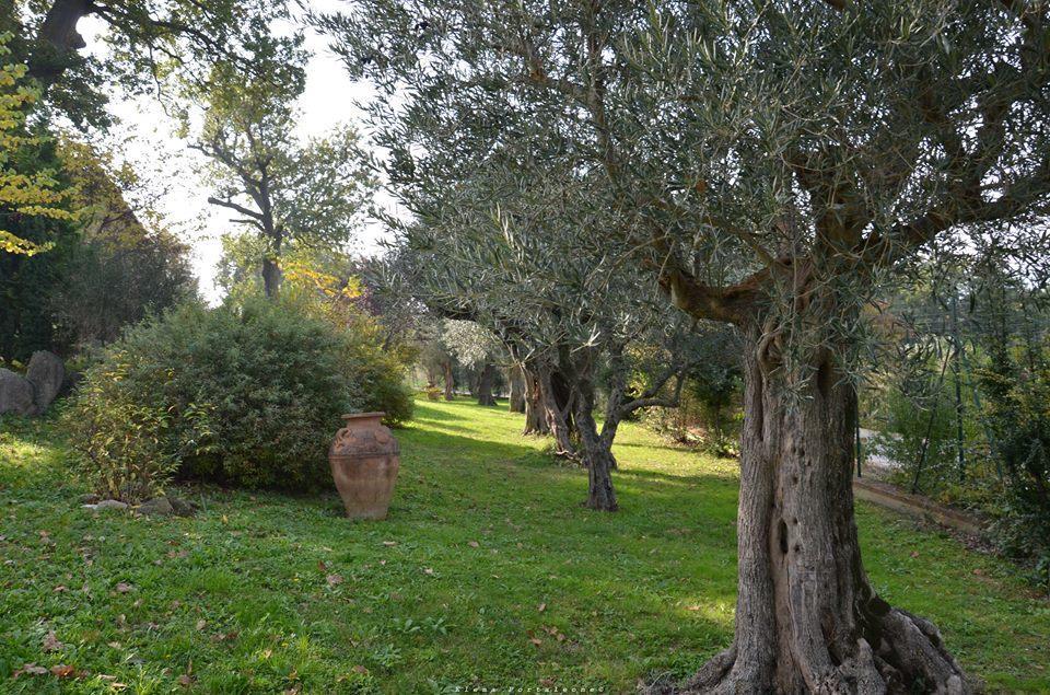 Casale Il Cerqueto Bed and Breakfast San Severino Marche Buitenkant foto