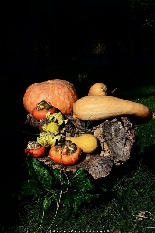 Casale Il Cerqueto Bed and Breakfast San Severino Marche Buitenkant foto