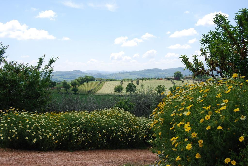 Casale Il Cerqueto Bed and Breakfast San Severino Marche Buitenkant foto