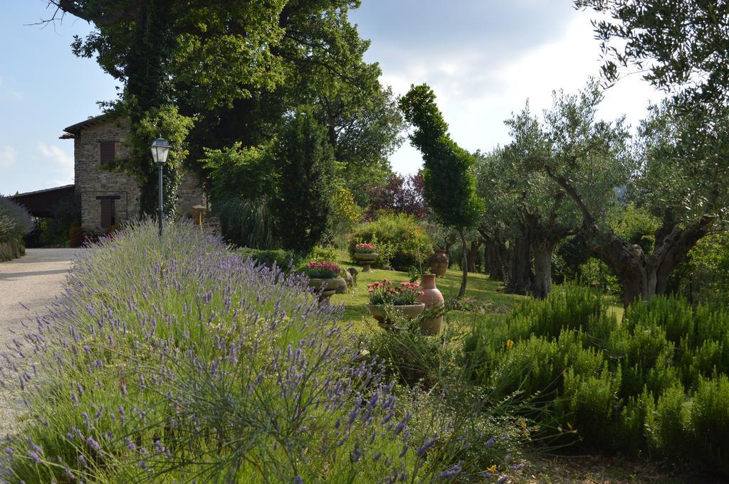 Casale Il Cerqueto Bed and Breakfast San Severino Marche Buitenkant foto