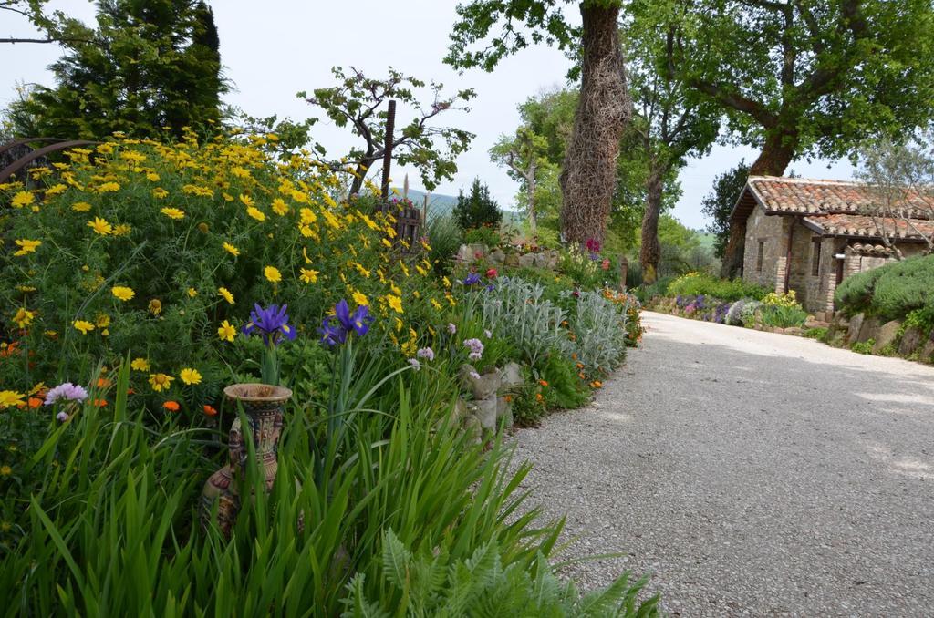 Casale Il Cerqueto Bed and Breakfast San Severino Marche Buitenkant foto