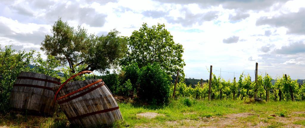 Casale Il Cerqueto Bed and Breakfast San Severino Marche Buitenkant foto