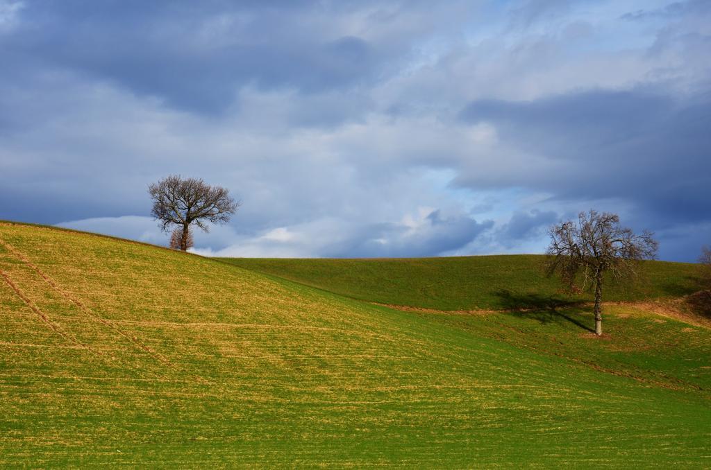 Casale Il Cerqueto Bed and Breakfast San Severino Marche Buitenkant foto