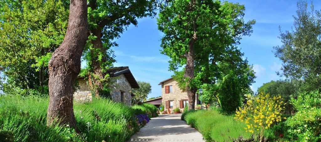 Casale Il Cerqueto Bed and Breakfast San Severino Marche Buitenkant foto