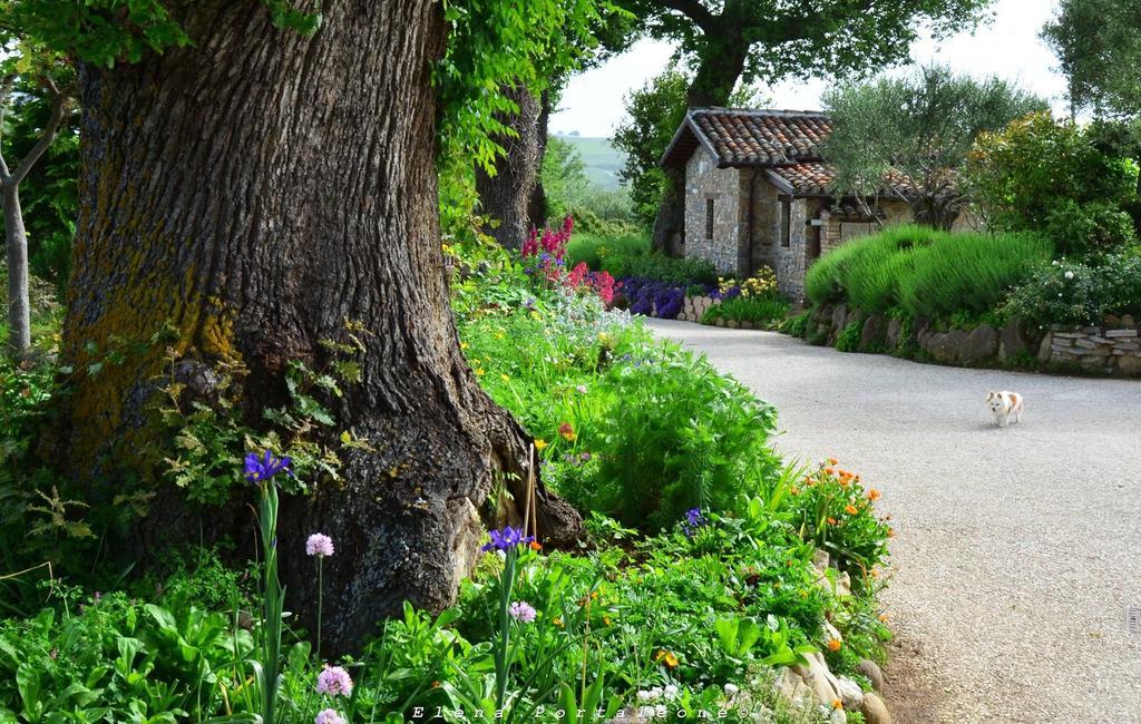 Casale Il Cerqueto Bed and Breakfast San Severino Marche Buitenkant foto